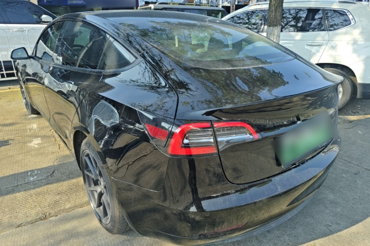 Tesla Model 3 2021 #5 Tesla Model 3 2021 car image #5