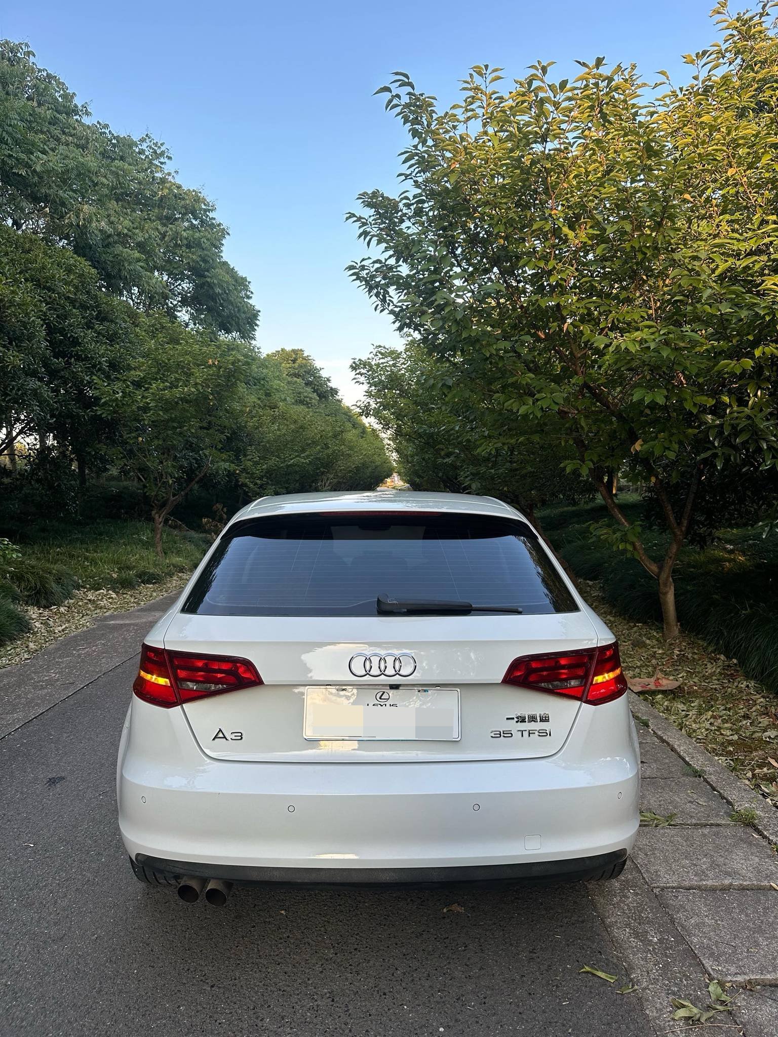 Audi A3 2015 car image #10