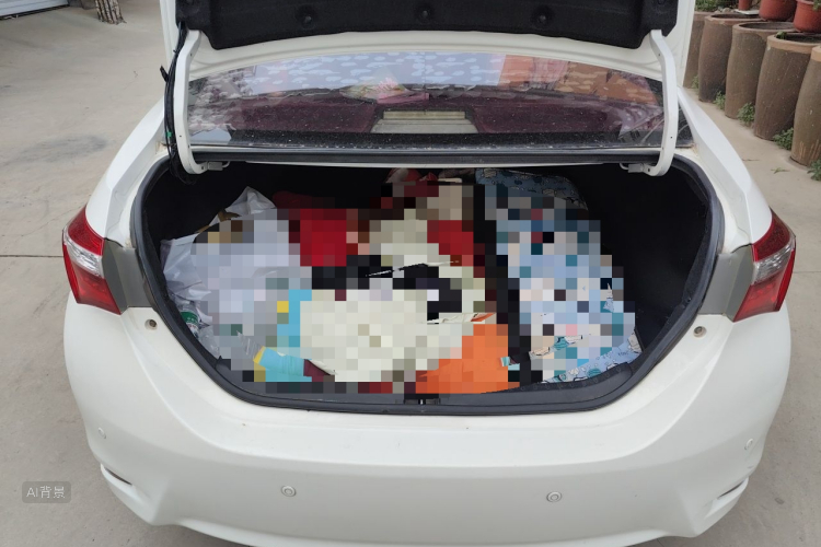 Toyota Corolla 2015 car image #21