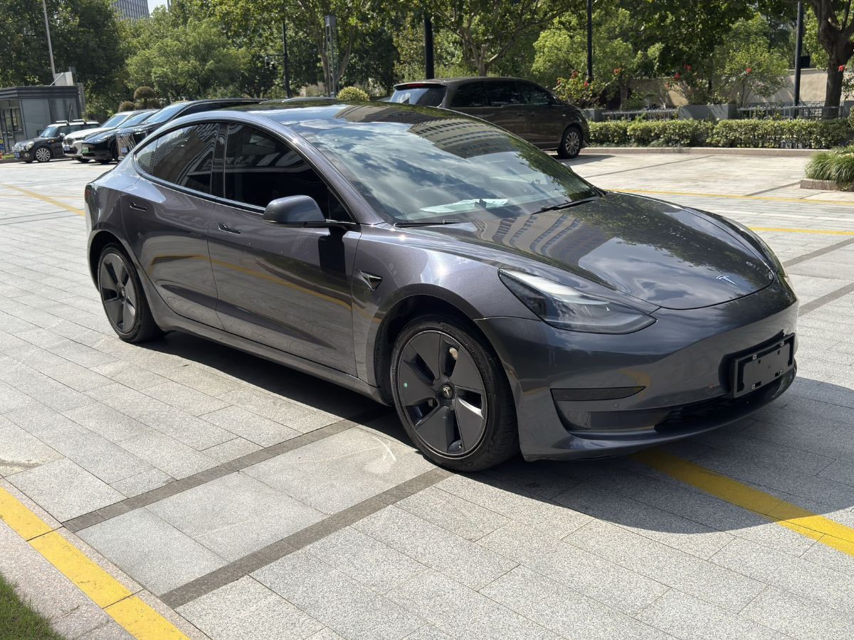 Tesla Model 3 2021 #3 Tesla Model 3 2021 car image #3