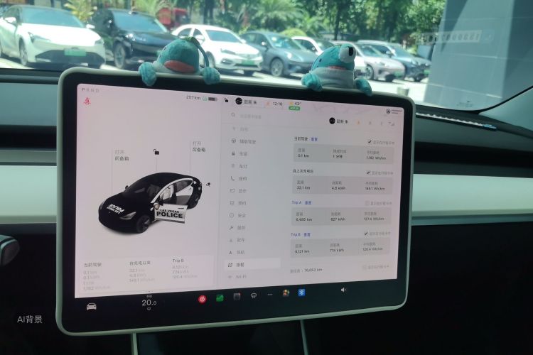 Tesla Model 3 2020 #13 Tesla Model 3 2020 car image #13