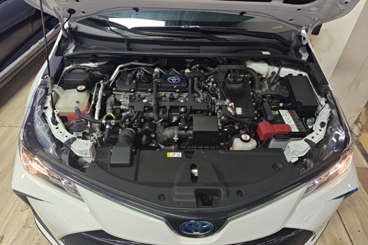 Toyota Corolla 2022 #22 Toyota Corolla 2022 car image #22