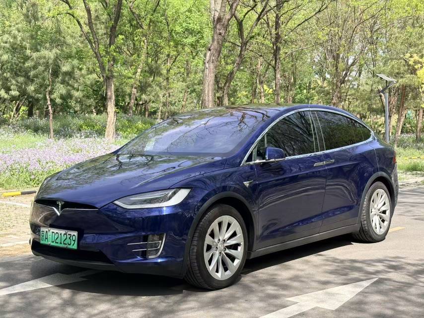 Tesla Model X 2018 Tesla Model X 2018 car image