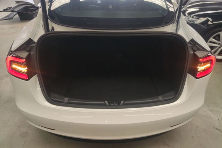 Tesla Model 3 2021 #19 Tesla Model 3 2021 car image #19
