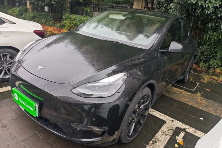 Tesla Model Y 2021 #2 Tesla Model Y 2021 car image #2