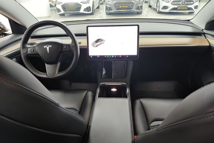 Tesla Model 3 2021 #10 Tesla Model 3 2021 car image #10