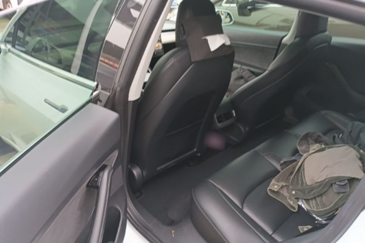 Tesla Model 3 2020 car image #17