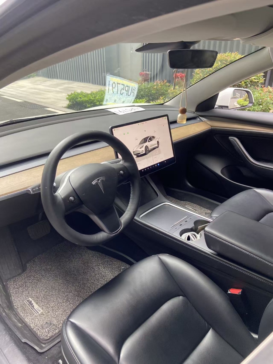 Tesla Model 3 2022 #7 Tesla Model 3 2022 car image #7