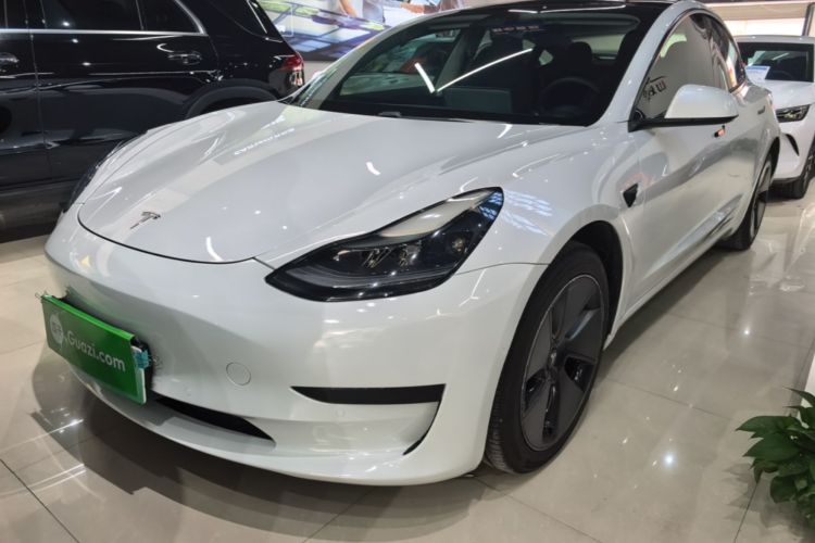 Tesla Model 3 2021 #2 Tesla Model 3 2021 car image #2