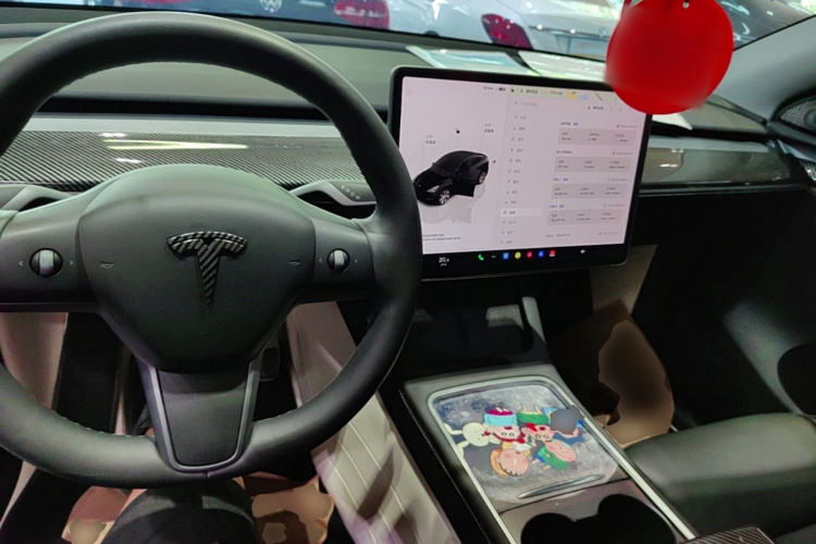 Tesla Model Y 2022 #10 Tesla Model Y 2022 car image #10