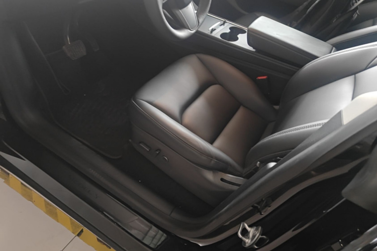 Tesla Model Y 2021 car image #15