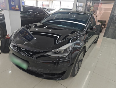 Tesla Model 3 2021 Tesla Model 3 2021 car image