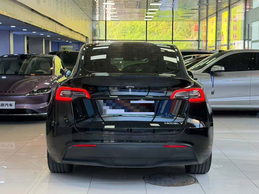 Tesla Model Y 2022 car image #11