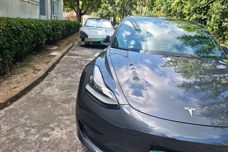 Tesla Model 3 2020 car image #8