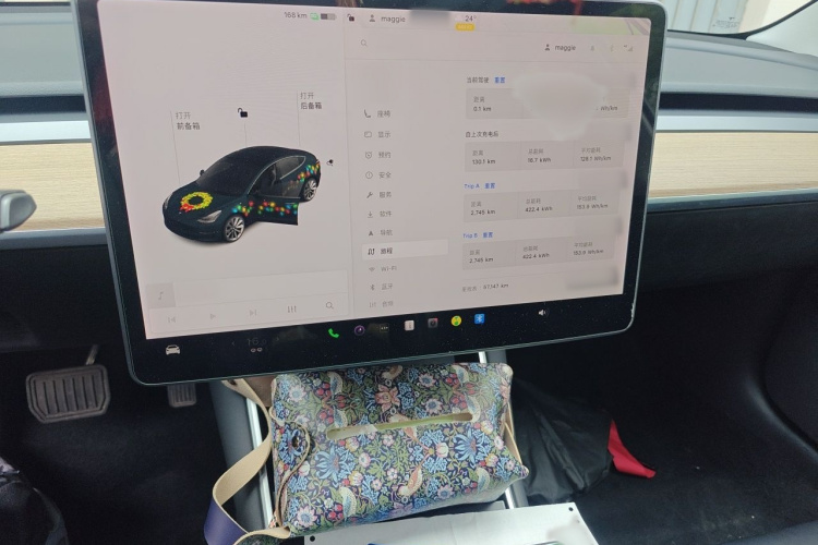 Tesla Model 3 2020 #17 Tesla Model 3 2020 imagen de coche #17