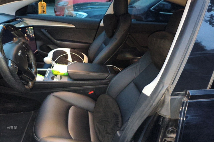 Tesla Model 3 2021 #17 Tesla Model 3 2021 صورة سيارة #17