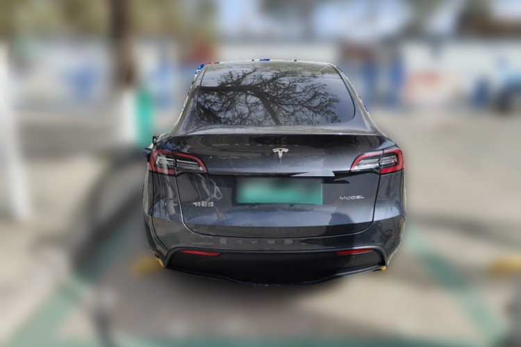 Tesla Model Y 2021 #6 Tesla Model Y 2021 car image #6
