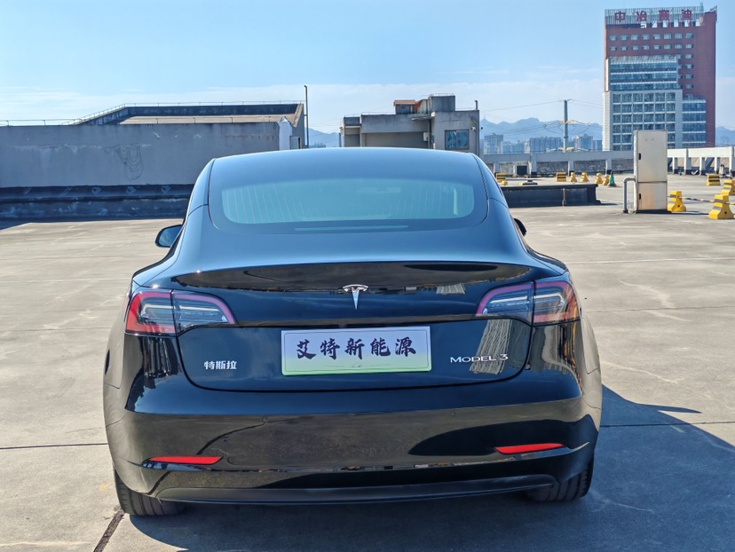 Tesla Model 3 2020 #5 Tesla Model 3 2020 car image #5