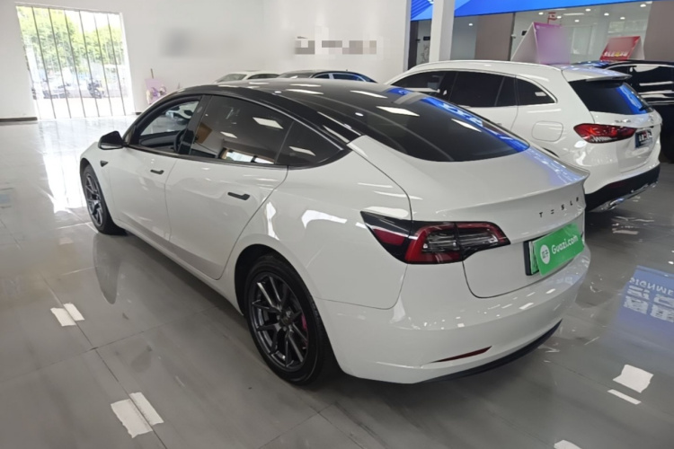 Tesla Model 3 2021 #5 Tesla Model 3 2021 car image #5