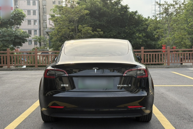 Tesla Model 3 2022 #3 Tesla Model 3 2022 car image #3