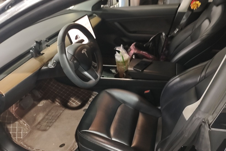 Tesla Model 3 2020 #15 Tesla Model 3 2020 car image #15