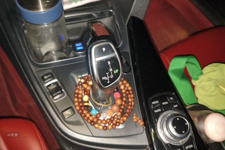 BMW 3 Series 2016 car image #16
