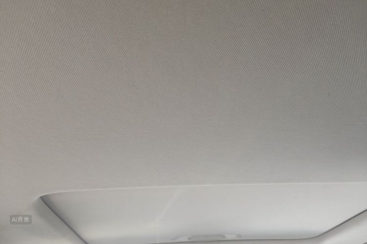 Volkswagen Lavida 2019 car image #20