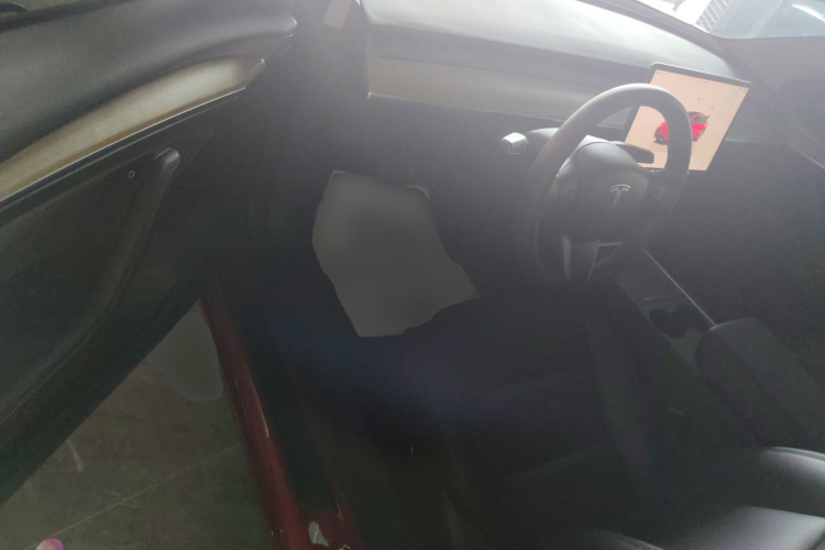 Tesla Model 3 2022 #12 Tesla Model 3 2022 immagine di auto #12
