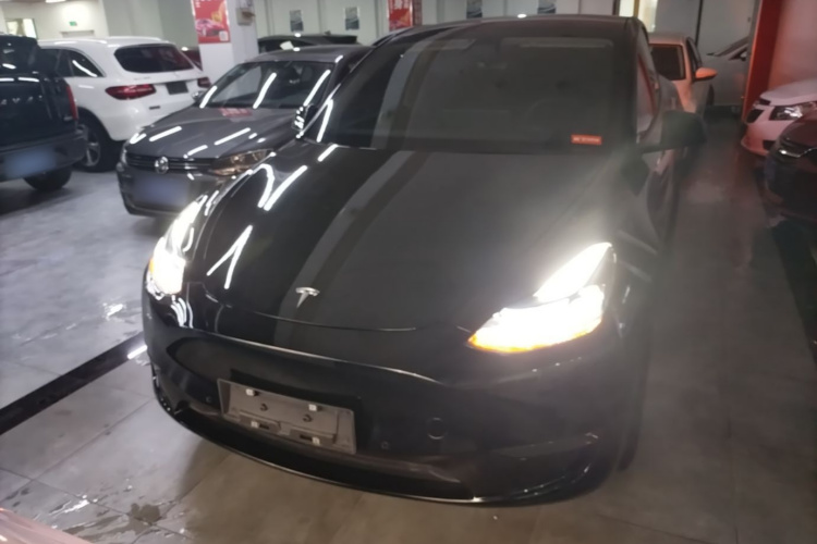 Tesla Model Y 2021 #3 Tesla Model Y 2021 car image #3