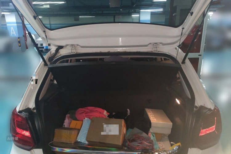 Volkswagen Polo 2019 car image #21