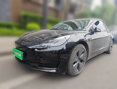 Tesla Model 3 2022 Tesla Model 3 2022 car image