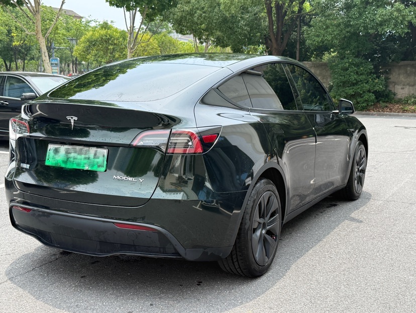 Tesla Model Y 2024 car image #4
