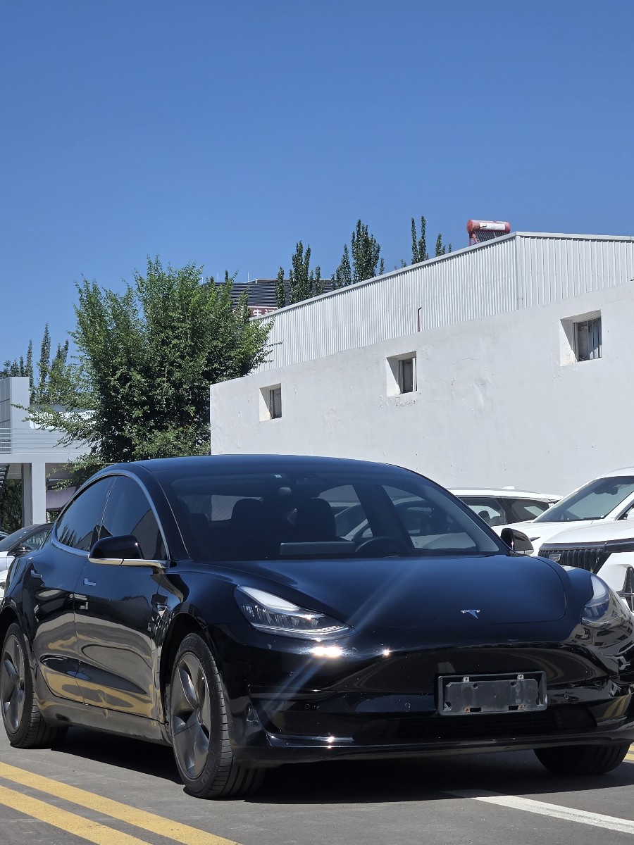 Tesla Model 3 2020 Tesla Model 3 2020 car image
