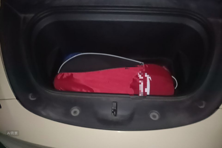 Tesla Model Y 2021 car image #22