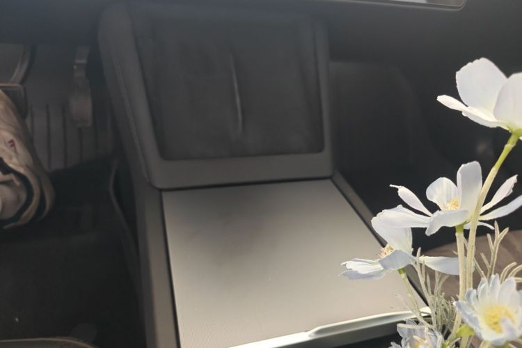 Tesla Model 3 2024 #13 Tesla Model 3 2024 car image #13