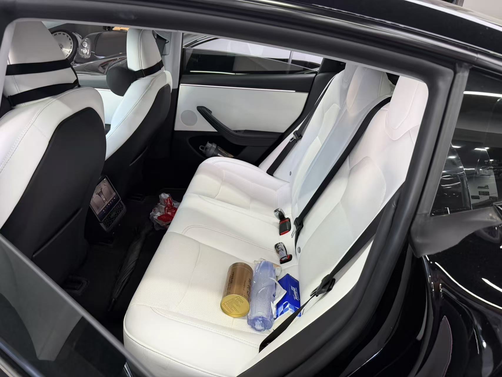 Tesla Model 3 2023 #5 Tesla Model 3 2023 car image #5