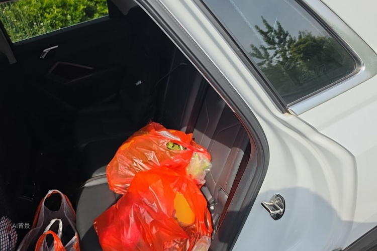 Audi Q3 2021 car image #19