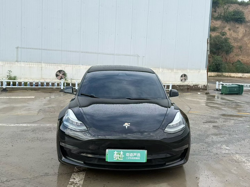 Tesla Model 3 2020 car image #2