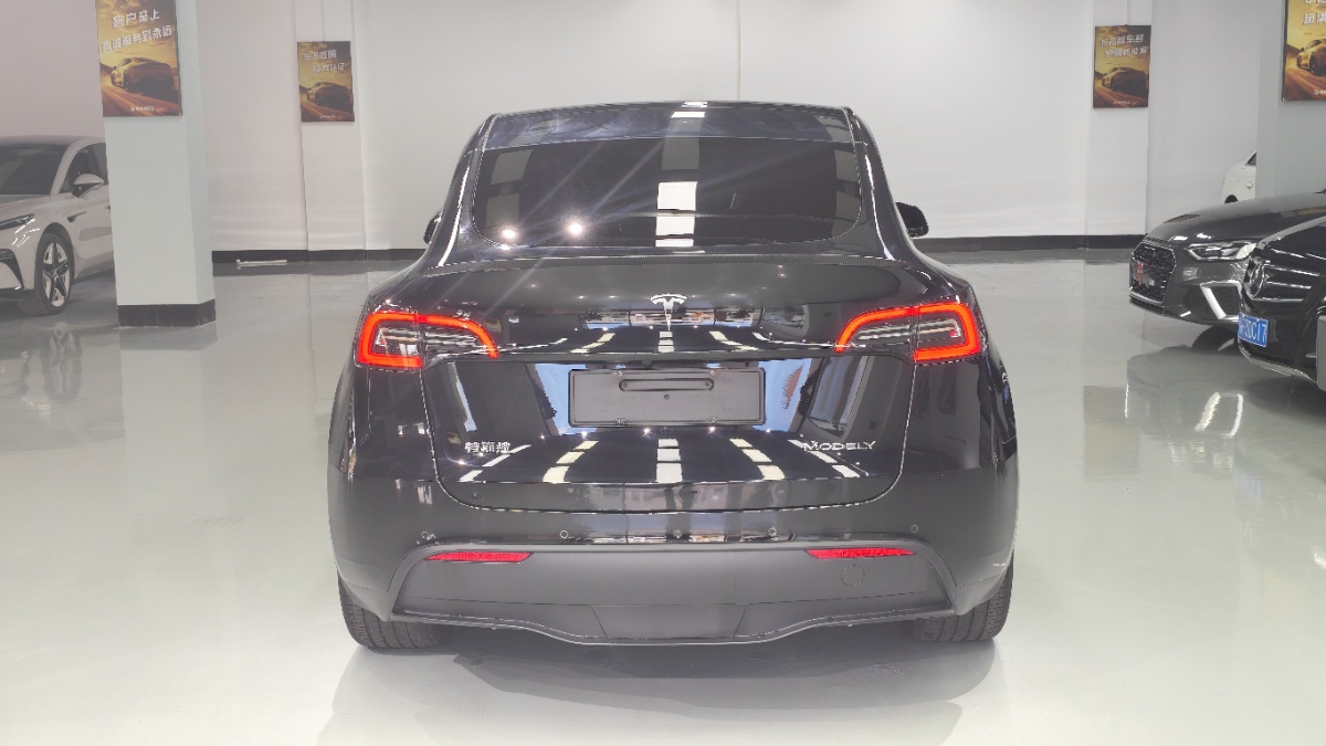 Tesla Model Y 2022 car image #8