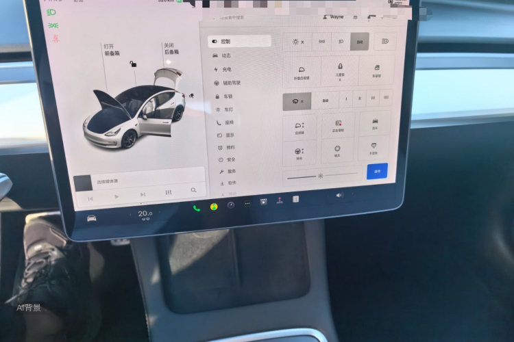 Tesla Model 3 2021 car image #13