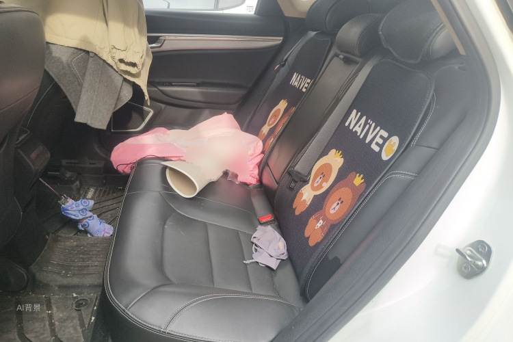 GEELY Emgrand GS 2019 car image #19