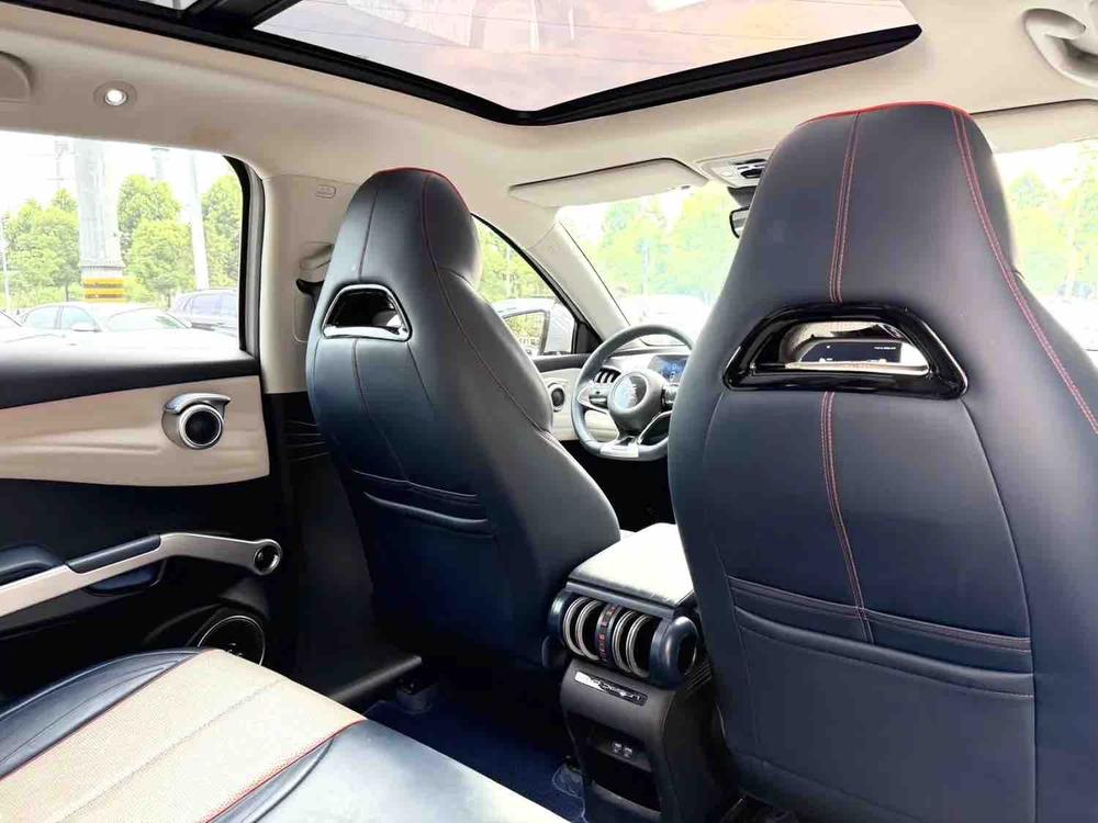 BYD Yuan Plus 2022 car image #9