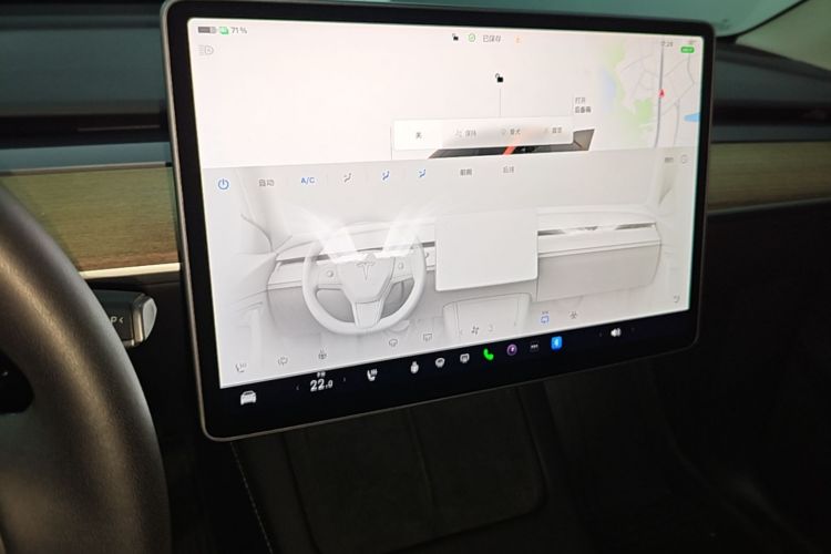 Tesla Model Y 2022 car image #13