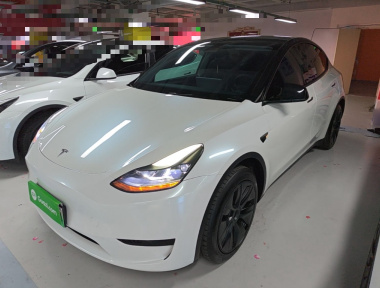 Tesla Model Y 2023 Tesla Model Y 2023 car image
