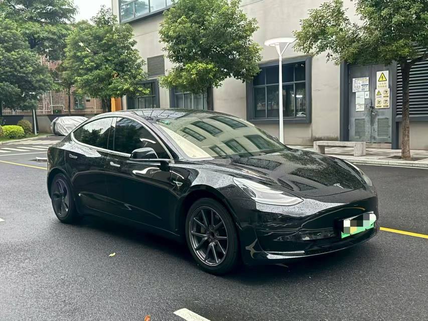 Tesla Model 3 2021 #3 Tesla Model 3 2021 car image #3