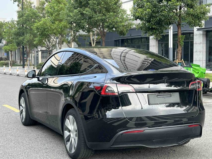 Tesla Model Y 2023 car image #14