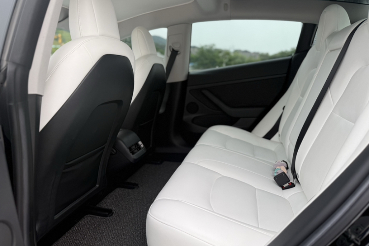 Tesla Model 3 2021 car image #17