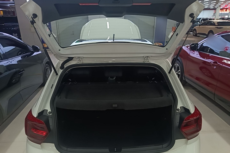 Volkswagen Polo 2021 car image #19