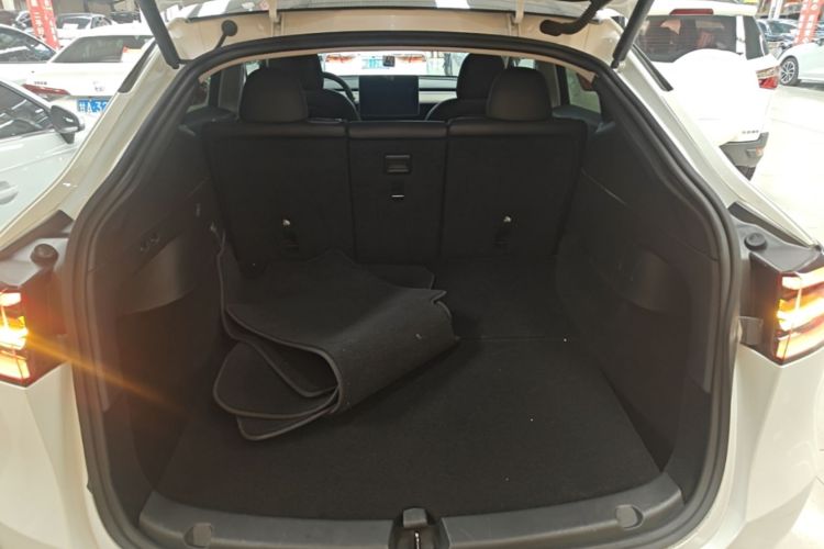 Tesla Model Y 2021 #19 Tesla Model Y 2021 car image #19