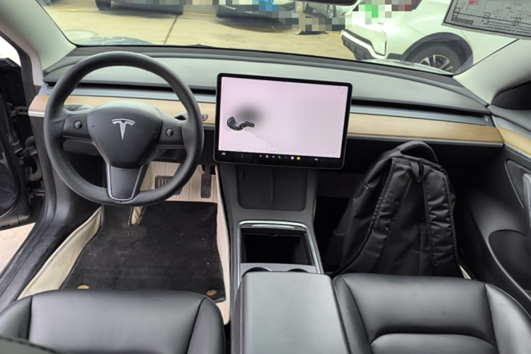Tesla Model 3 2021 car image #10